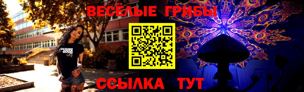 Волгодонск  Галлюциногенные грибы GOLDEN TEACHER  Вход с VPN 
